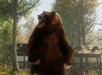 Disney World faces temporary shut down over bear intrusion