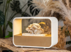 Grow your own mushrooms with Shrooly