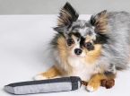 Square Enix has made a Buster Sword for your dog