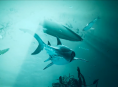 Maneater launch trailer shows the crazy lives of Great Whites