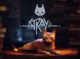 Stray is available now on Xbox