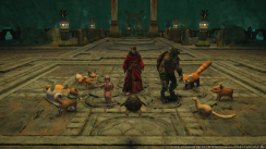 Related Image
