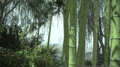 Related Image