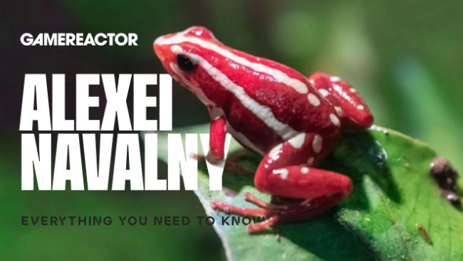 Everything you need to know about the dart frog toxin allegedly used to kill Alexei Navalny