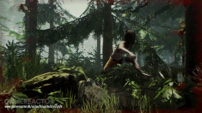 The Forest
