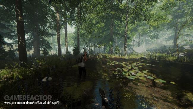 The Forest