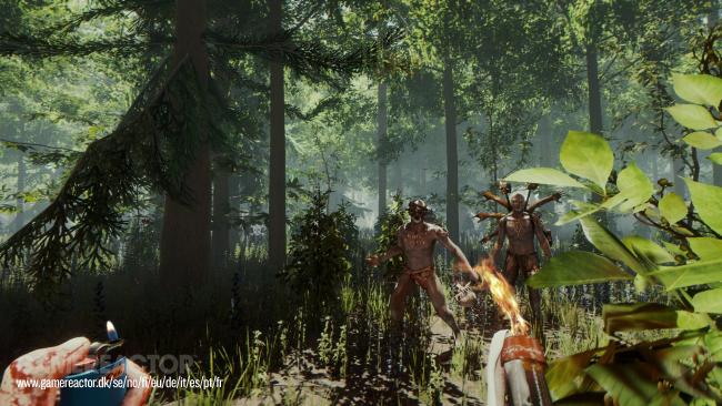 The Forest