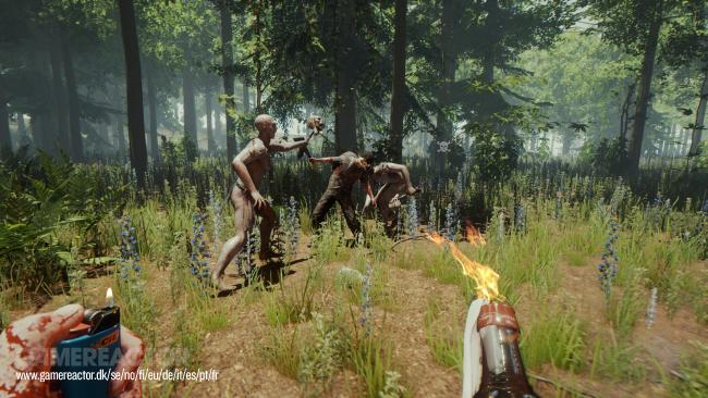 The Forest