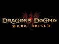 Dragon's Dogma expansion