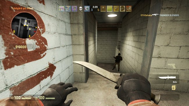 Counter-Strike: Global Offensive