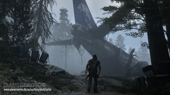 Days Gone