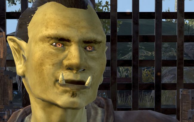 The Elder Scrolls: Blades