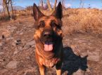Play as Dogmeat in Fallout 4