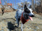 Here's a potential replacement for Dogmeat in Fallout 4