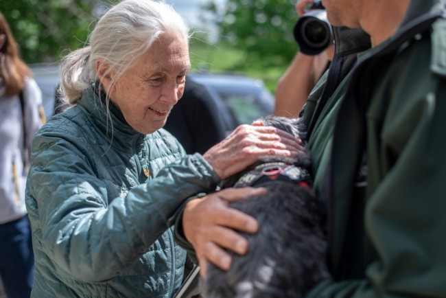 Jane Goodall passes away at 91