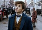 Don't expect any more Fantastic Beasts movies