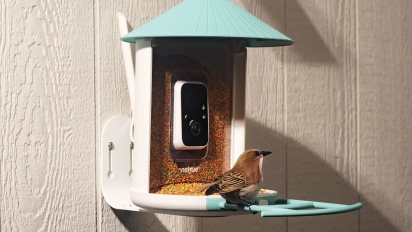 Birdfy is looking to make birdwatching even more intense